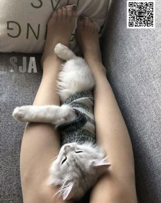 兽穴 第三季 电视剧_DVD高清在线
